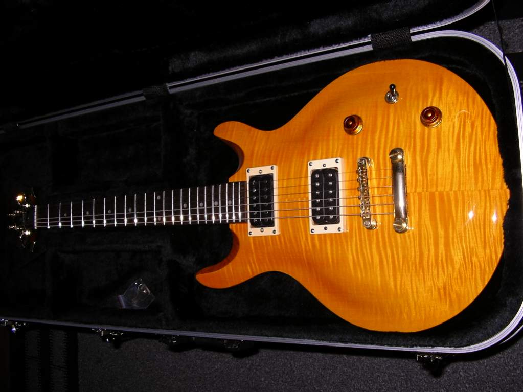 Guardian case 002