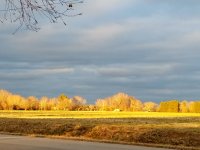 back light field sunset Monroe Nunley.jpg back light field sunset Monroe Nunley.jpg