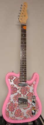 pink_paisley_tele_full.jpg