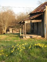 prospect cabin in late sunlight.jpg prospect cabin in late sunlight.jpg