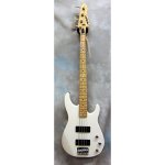 Hannah Peavey Foundation Bass.jpg Hannah Peavey Foundation Bass.jpg