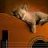 fretdancer