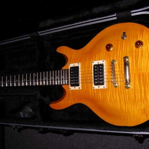 Guardian case 002