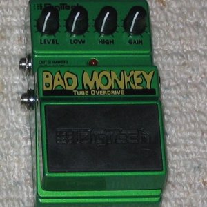 bad monkey2